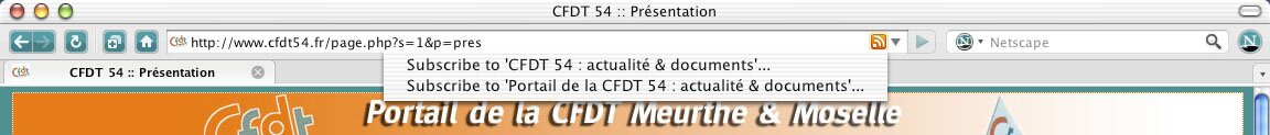 Netscape Navigator 9 : gestion des flux RSS (copie d'&eacute;cran)